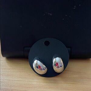 CC Boutique Silver Earrings